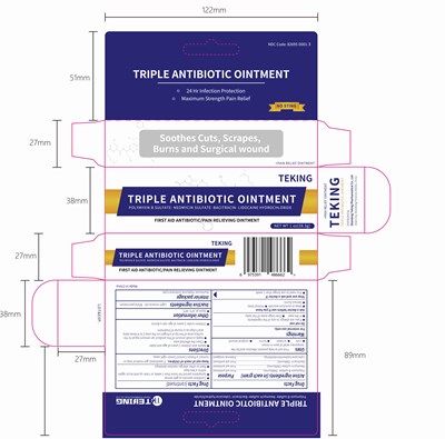 Triple Antibiotic Ointment 1 Oz (28.3g) (Triple Antibiotic Ointment 1 Oz (28.3g))